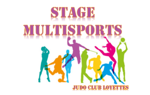 Stage Multisports fin Août - COMPLET