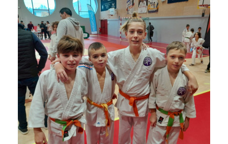 Championnats de l'Ain par équipe 